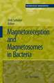 Magnetoreception and Magnetosomes in Bacteria