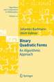 Binary Quadratic Forms: An Algorithmic Approach