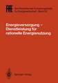 Energieversorgung— Dienstleistung für rationelle Energienutzung: VDE/VDI/GFPE-Tagung in Schliersee am 2./3. Mai 1991