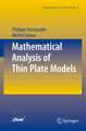 Mathematical Analysis of Thin Plate Models