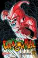 Dragon Ball Massiv 13