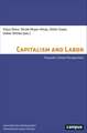 Capitalism and Labor: Towards Critical Perspectives