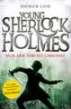 Young Sherlock Holmes 04. Nur der Tod ist umsonst