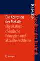 Die Korrosion der Metalle: Physikalisch-chemische Prinzipien und aktuelle Probleme