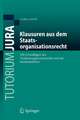 Klausuren aus dem Staatsorganisationsrecht: Mit Grundlagen des Verfassungsprozessrechts und der Methodenlehre