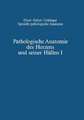 Pathologische Anatomie des Herzens und seiner Hüllen: Orthische Prämissen · Angeborene Herzfehler