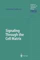 Signaling Through the Cell Matrix