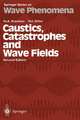 Caustics, Catastrophes and Wave Fields