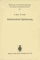 Mathematische Optimierung: Grundlagen und Verfahren