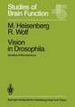 Vision in Drosophila: Genetics of Microbehavior