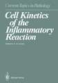 Cell Kinetics of the Inflammatory Reaction