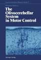 The Olivocerebellar System in Motor Control