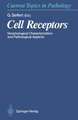 Cell Receptors: Morphological Characterization and Pathological Aspects