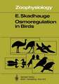 Osmoregulation in Birds