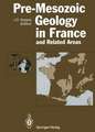 Pre-Mesozoic Geology in France and Related Areas: and Related Areas