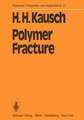 Polymer Fracture