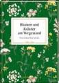 Blumen und Kräuter am Wegesrand