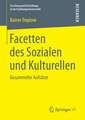 Facetten des Sozialen und Kulturellen: Gesammelte Aufsätze