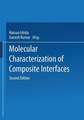 Molecular Characterization of Composite Interfaces