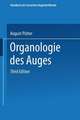 Organologie des Auges