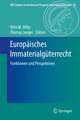 Europäisches Immaterialgüterrecht: Funktionen und Perspektiven