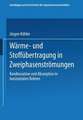 Wärme- und Stoffübertragung in Zweiphasenströmungen: Kondensation und Absorption in horizontalen Rohren