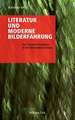 Literatur und moderne Bilderfahrung