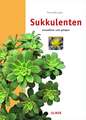 Sukkulenten