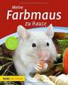 Meine Farbmaus zu Hause