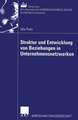 Struktur und Entwicklung von Beziehungen in Unternehmensnetzwerken: Theoretisch-konzeptionelle Zugänge und Implikationen für das Management von Netzwerkbeziehungen