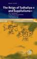 The Reign of Tudhaliya II and Suppiluliuma I: The Contribution of the Hittite Documentation to a Reconstruction of the Amarna Age