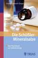 Die Schüssler-Mineralsalze