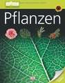 Pflanzen