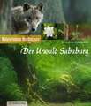 Der Urwald Sababurg