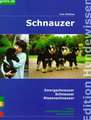 Schnauzer