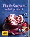 Eis & Sorbets selbst gemacht