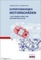 Motorschäden