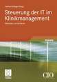 Steuerung der IT im Klinikmanagement: Methoden und Verfahren