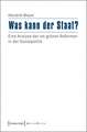 Was kann der Staat?: Eine Analyse der rot-grünen Reformen in der Sozialpolitik