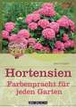 Hortensien