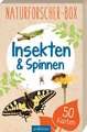 Naturforscher-Box - Insekten & Spinnen