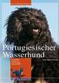 Portugiesischer Wasserhund