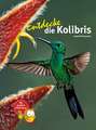 Entdecke die Kolibris