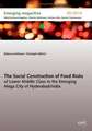 The Social Construction of Food Risks of Lower Middle Class in the Emerging Mega City of Hyderabad/ India