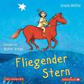 Fliegender Stern