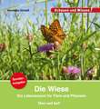 Die Wiese / Sonderausgabe