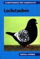 Luchstauben