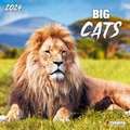 Big Cats 2024