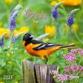 Birds 2027