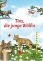 Tira, die junge Wölfin